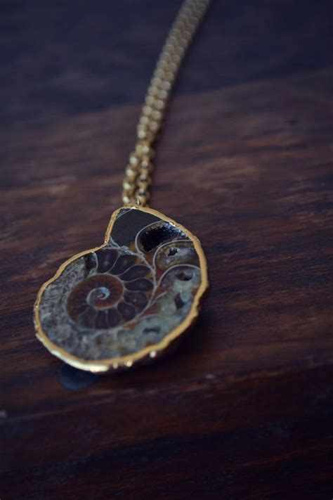 Ammonite Fossil Necklace by luxdivine. | Pretty jewellery, Jewelry ...