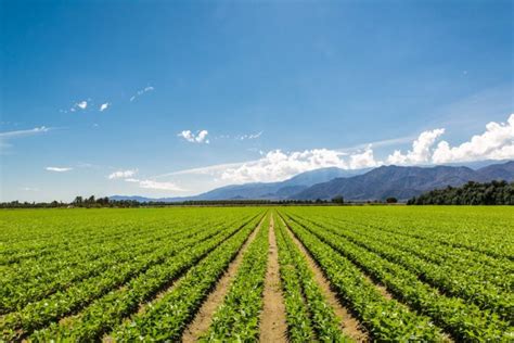 AgNet West - California Agriculture News