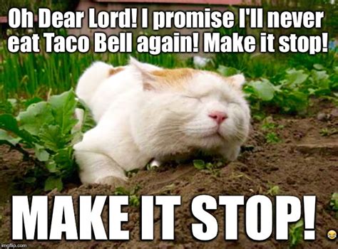 34 Funny Taco Bell Memes You Know All. Too. Well. | Inspirationfeed