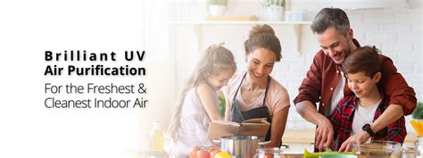 Best Air Purification System Products and Services | Unique Air