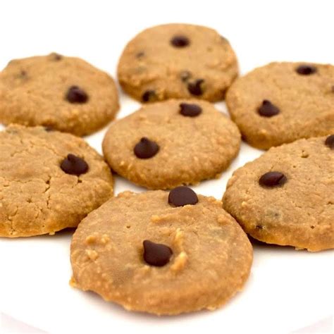 Low Sugar Cookies / Low Fat, Low Sugar Oatmeal Apple Cookies - Grassfed ...