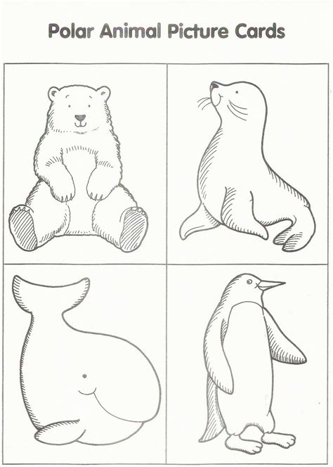 Preschool Winter Animals Coloring Pages - LyricilChoi