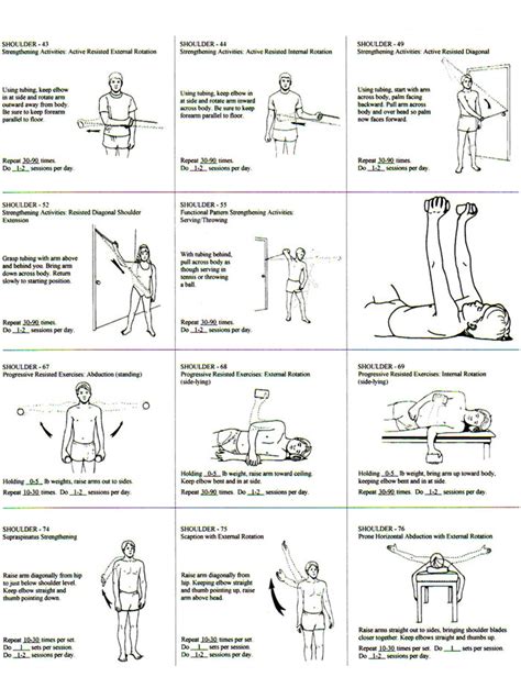 Rotator Cuff Exercise Regiment Handout | Rotator cuff exercises ...