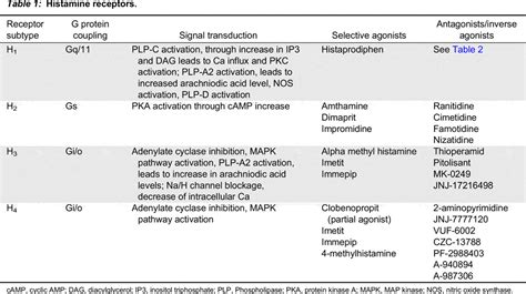 Histamine, histamine receptors, and anti-histamines in the context of ...