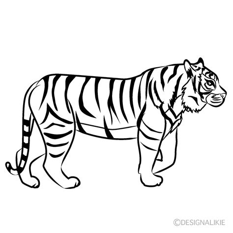 Cartoon Tiger Face Clipart Black And White - img-doozy