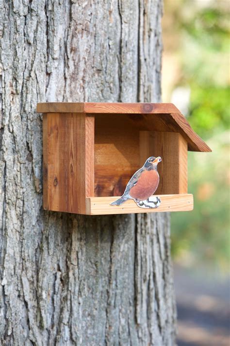 American Robin - Cedar bird house by MLTimberCrafts on Etsy https://www ...