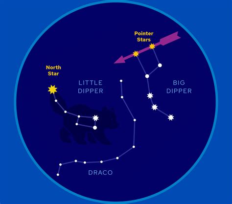 A Kid's Guide to Stargazing | OLogy | AMNH