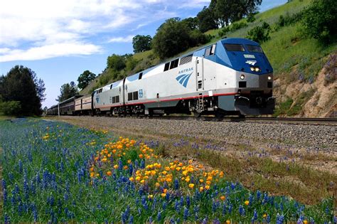 Traveling Overnight in an Amtrak Sleeper Car | Ever In Transit