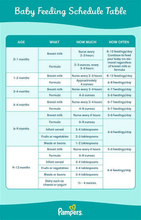 Breast Development Stages Chart