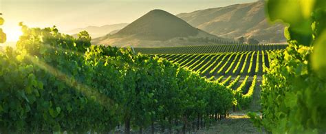 2 Days In California Wine Country Part 1 | California Wine Made Easy