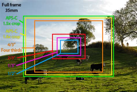 Photography Basics – Focal length | Discover Digital Photography