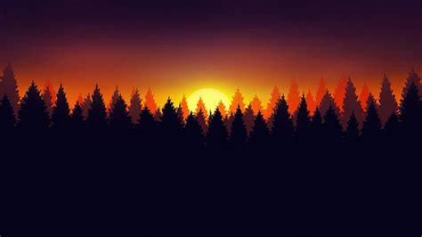 1170x2532px | free download | HD wallpaper: forest, nature, dark, Sun ...