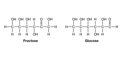 Carbohydrate | Definition, Classification, & Examples | Britannica