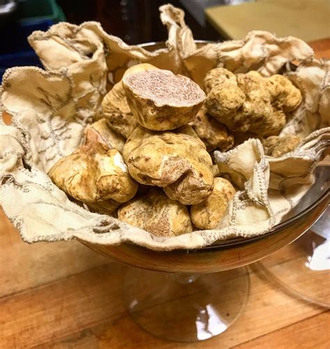 Where to Indulge in White Truffles around Boston This Winter