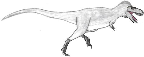 Albertosaurus Adult (with feathers) by Venofoot on DeviantArt