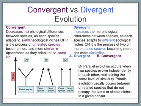 Divergent Evolution | Definition, Types & Examples