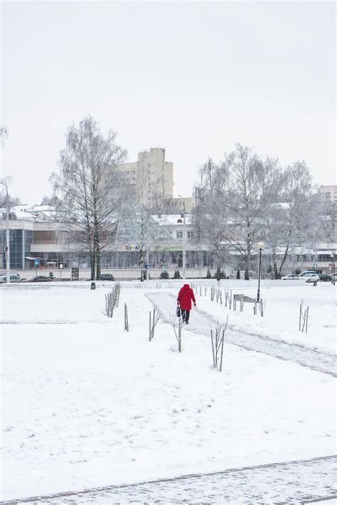 City Park in Winter · Free Stock Photo