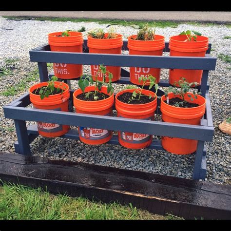 5 gallon bucket gardening stand | Bucket gardening, Garden stand ...