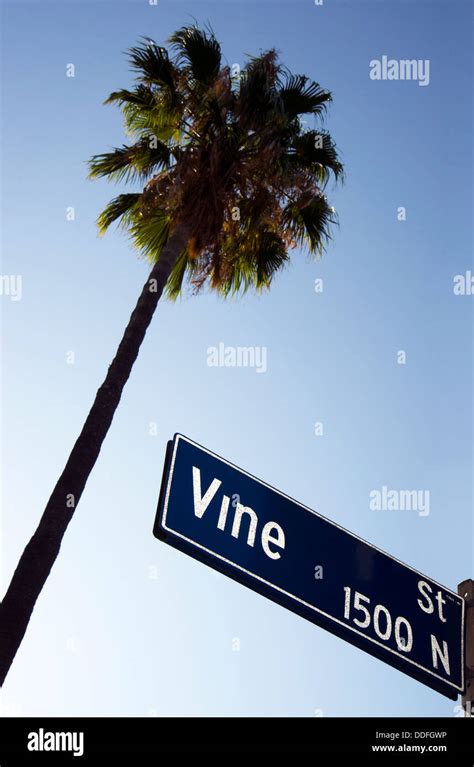 Vine Street Stock Photo - Alamy