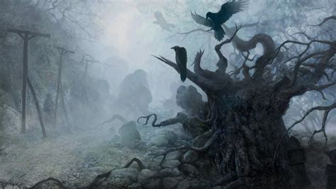 Scary Forest Wallpaper (57+ images)