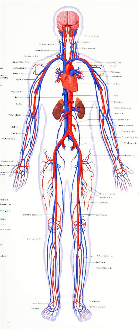 Online Essay Help | amazonia.fiocruz.br