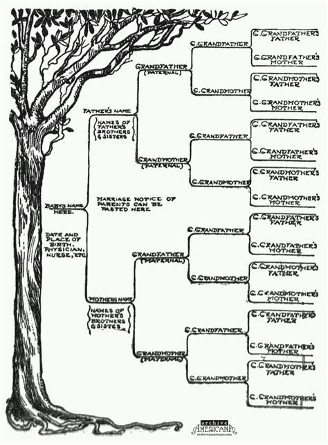 free family tree template printable foe word | family tree template ...