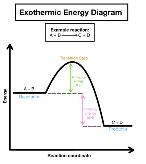 Endothermic And Exothermic Reaction Graph