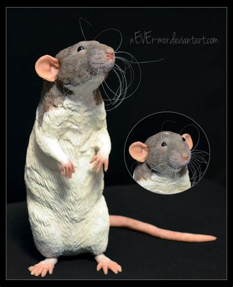 Jasper The Rat - Sculpture by nEVEr-mor on DeviantArt