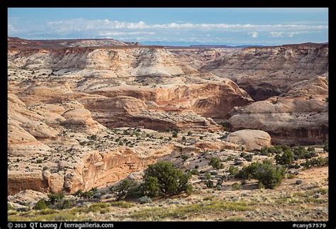 Picture/Photo: Horseshoe Canyon rim. Canyonlands National Park