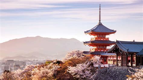 Cherry Blossoms in Kyoto: 14 Best Places to See Sakura