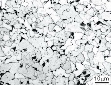 Optical micrograph showing the ferrite and pearlite microstructure in ...