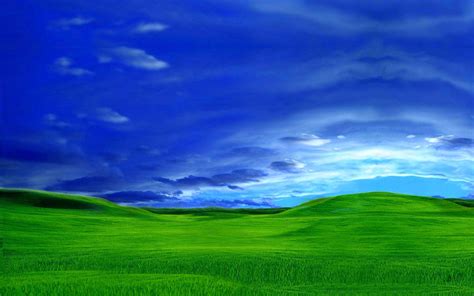 Windows Xp Wallpaper - TubeWP