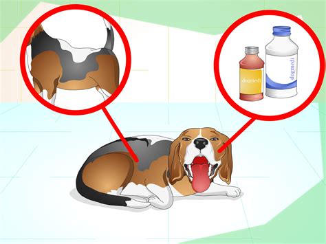 How to Treat a Panting Dog: 8 Steps (with Pictures) - wikiHow