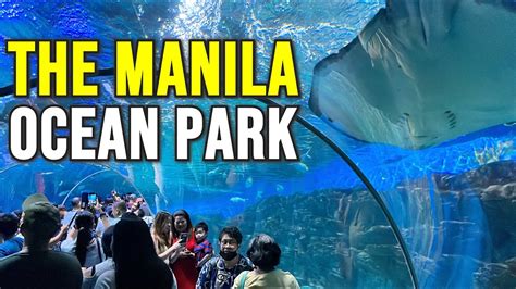 Tips When Visiting Manila Ocean Park Tina In Manila, 52% OFF