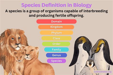 Species Definition and Examples in Biology