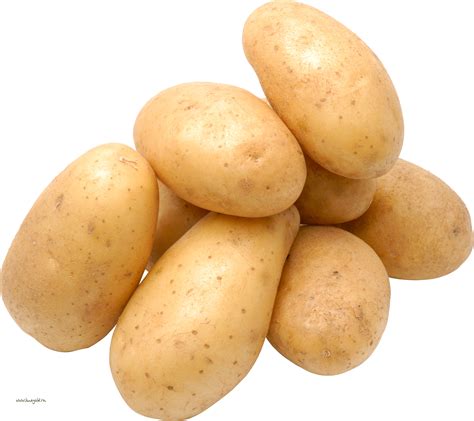 Free Potato PNG Transparent Images, Download Free Potato PNG ...