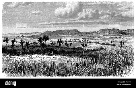 Plateau of Mato Grosso, anonym 1897 Stock Photo - Alamy