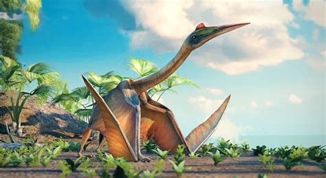 Quetzalcoatlus The Largest Flying Animal Of All Time