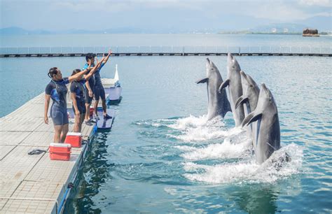 Presentations - Ocean Adventure Subic Bay