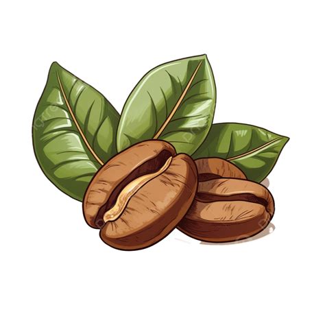 Coffee Bean Clipart, Coffee Clipart, Coffee, Coffee Bean PNG ...