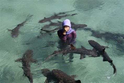 Vacation to Indonesia: Karimunjawa National Park