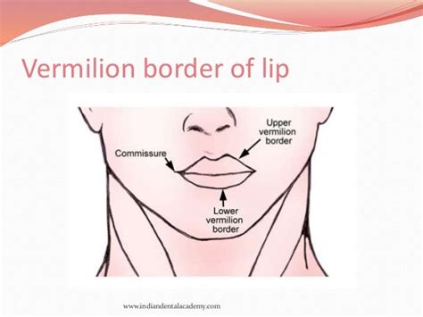 oral mucous membranes-3 / oral surgery courses