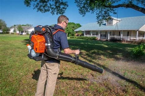 Best Gas Leaf Blower Reviews 2024 - Pro Tool Reviews