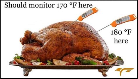 Where To Put Thermometer In Turkey? | LifeFalcon