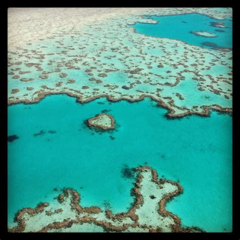 Heart reef from the helicopter | 世界の絶景, 絶景, 世界