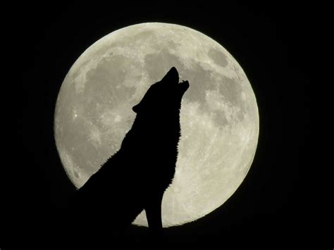 Full Wolf Moon over the UK - Thursday, January 28