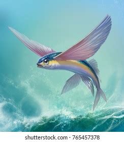 Flying Fish Jumping Flying Flying Fish Stock Illustration 765457378