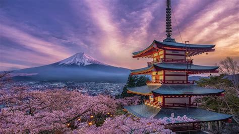 Mount Fuji Cherry Blossoms HD Wallpaper