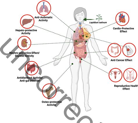 Figure 1 from Evidence for Health-Promoting Properties of Lepidium ...