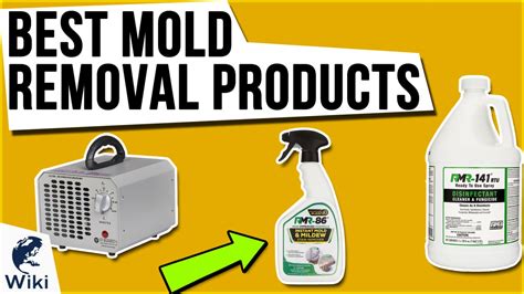 Top 10 Mold Removal Products of 2020 | Video Review